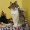 Отзыв от Оксана Крючкова